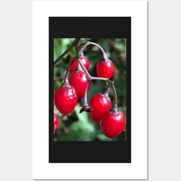 Forest Bathing with the  Shine of Red Winter Christmas Berries Wall Art by Photomersion